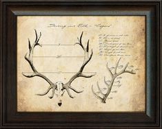 an antler's head is shown in a frame with writing on the wall