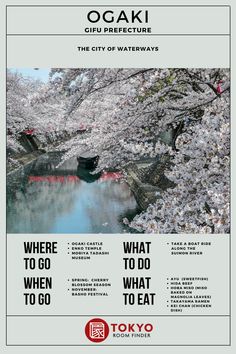 an advertisement for tokyo's cherry blossom festival is shown in this advertise