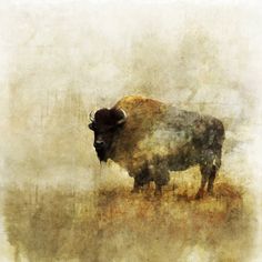 a painting of a bison standing on top of a dry grass field in the fog