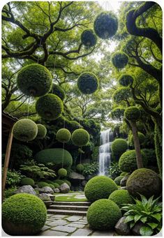 an outdoor garden with lots of green plants and balls hanging from the trees above it