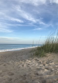 an empty beach with grass and the ocean in the background