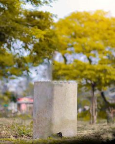 a cement box sitting in the middle of a park