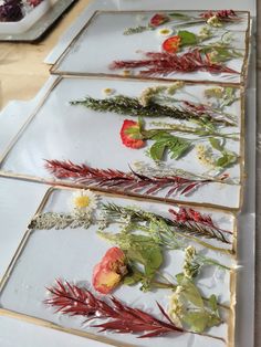 dried flowers and herbs are arranged on glass trays to be used as wall hangings