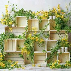 an arrangement of yellow flowers and plants in wooden boxes on a white wall with greenery