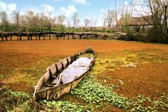 an old wooden boat sitting in the middle of a field with weeds growing on it