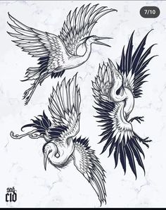 three birds flying in the air with their wings spread out and one bird has its beak open