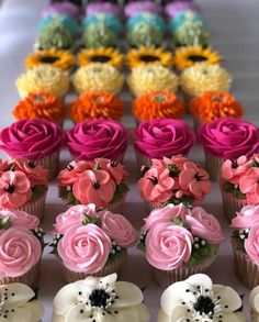 cupcakes decorated with pink, yellow, and purple icing are arranged in rows