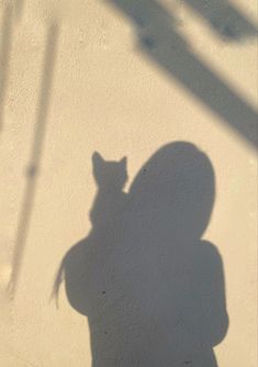 the shadow of a person's head on a wall with a cat in it