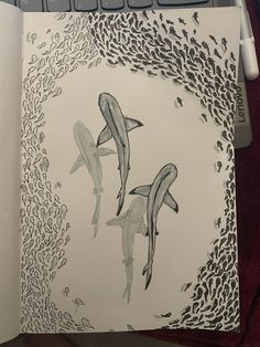 a drawing of two dolphins swimming in the ocean