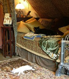 a cat laying on top of a bed next to a night stand and lamp in a bedroom