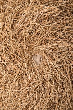 the texture of straw is brown and has been woven in to form a circular pattern