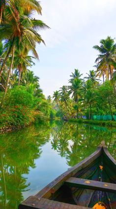 there is a small boat on the water in the middle of palm trees and bushes