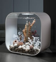 an aquarium filled with lots of different types of corals and sea stars in it