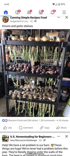 the facebook page shows an image of garlic and onions on display in front of other items