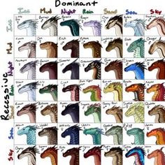 the different types of dinosaurs that are in each color and size, with their names on them