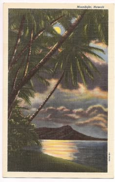 an old postcard with palm trees and the moon in the sky above water at dusk