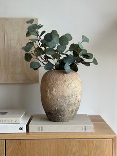 a plant in a vase sitting on top of two books