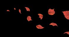 red leaves flying in the air on a black background