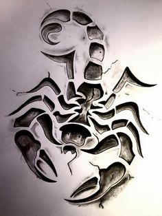 a drawing of a scorpion on white paper