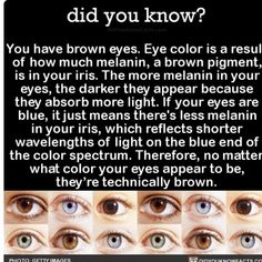 different types of eyes with the caption'did you know?'written below