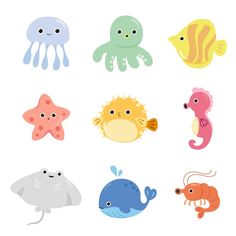 an assortment of sea animals on a white background