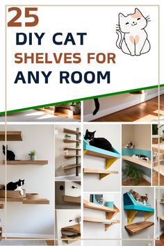 the 25 diy cat shelves for any room are easy to make and can be used as bookshelves