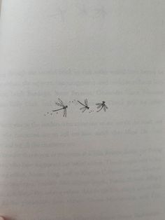 an open book with two dragonflies drawn on it