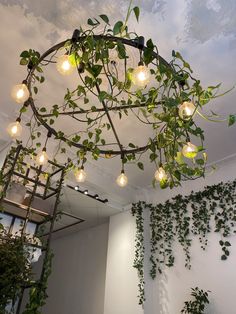 a room with plants and lights hanging from the ceiling