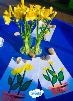 yellow flowers in vases sitting on top of a blue table with rocks and paper