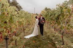 a newly married couple standing in the middle of a vineyard