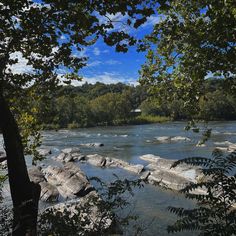 a river with rocks and trees in the foreground