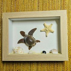 a sea turtle and starfish in a shadow box frame on a yellow fabric wall