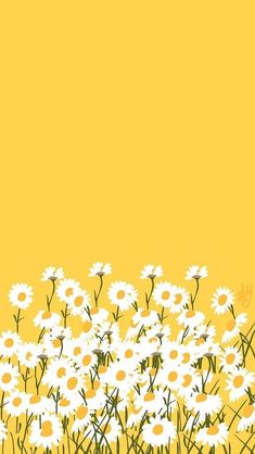 a yellow background with white daisies in the foreground