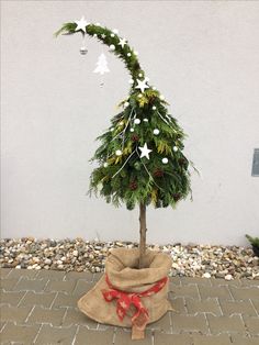 a small christmas tree in a sack on the ground