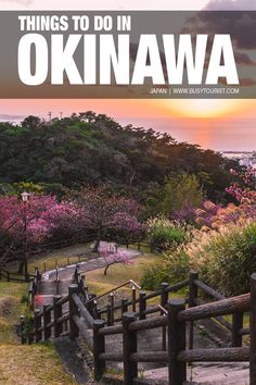 Things To Do In Okinawa Kyoto Travel Guide, Japan Bucket List, Japan Itinerary, Kyoto Travel, Asia Travel Guide, Tokyo Travel, Free Things To Do