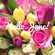 a bouquet of flowers with the words hello june written in white lettering on it and pink, yellow and purple tulips