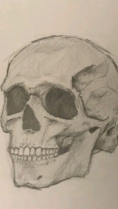 a drawing of a human skull on paper