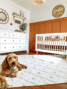 a brown dog laying on top of a white rug in a bedroom next to a crib