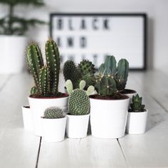 there are many different kinds of cactus in the pot on the white wooden table,