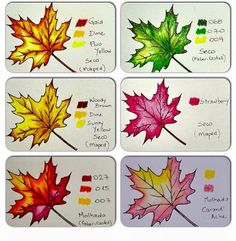 four different colored leaves are shown in this drawing class project, each with their own leaf color scheme