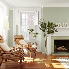 a living room filled with furniture and a fire place next to a plant in a vase