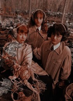 Golden Trio, Ideas Style, Home Ideas, Harry Potter, Style Inspiration