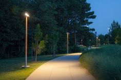 a sidewalk with lights on at night in a park area next to grass and trees