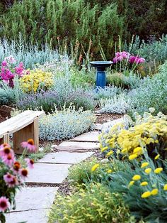 a garden filled with lots of flowers next to a wooden bench in the middle of it