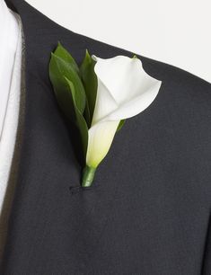 a boutonniere with a white flower pinned to it's lapel