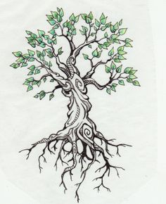 a drawing of a tree with green leaves on it's branches and roots in the shape of a heart