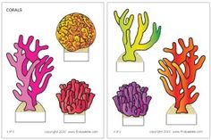 four different types of corals are shown