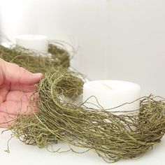 two white candles sitting next to each other on top of a table covered in moss