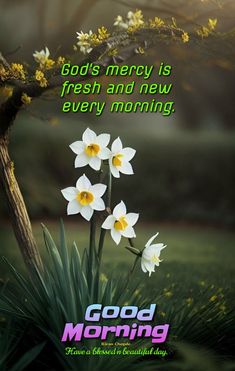 an advertisement for good morning with daffodils