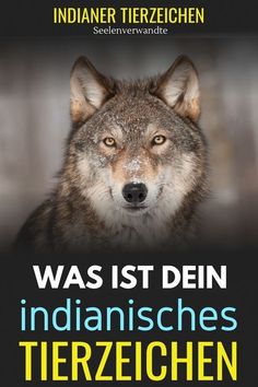 a wolf with the caption was ist den indiansches tierzeichen